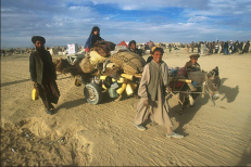 Afganistano pabėgėliai. Actalliance.org nuotr.