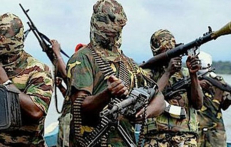„Boko Haram“ nariai
