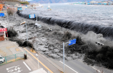 Cunamis Japonijoje