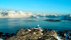 Pietų Grenlandijos kraštovaizdis. Wikipedia.org nuotr.