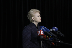Prezidentė D. Grybauskaitė sveikina į Vilniaus viršūnių susitikimą atvykusias delegacijas. Džojos Barysaitės (ELTA) nuotr.