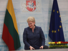 Lietuvos Respublikos Prezidentė Dalia Grybauskaitė. Martyno Ambrazo (ELTA) nuotr.
