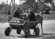 Romualdo Vaitkaus nuotraukoje -  Lietuvos kultūros tikroji perspektyva