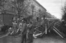 Dabartinis Susirinkimų įstatymas neleistų piliečiams rinktis net ir tuo atveju, jei kiltų grėsmė Lietuvos valstybingumui. Alfredo Girdžiušo nuotraukoje - Sausio 13-oji. (Iš voruta.lt)