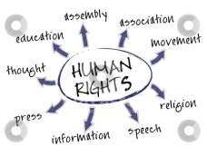 Susirinkimų laisvė - viena iš žmogaus teisių.