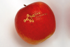 Jau penktus metus prokurorai niekaip neįstengia įkąsti šio VEKS obuoliuko. Tai išties pasakiška drąsa - turint visus nusikalstamos veikos faktus ir įrodymus, tiek laiko šaltakraujiškai vilkinti ikiteisminius tyrimus.