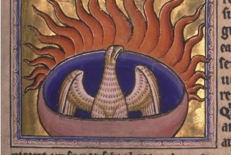 Feniksas iš "Aberdeeno Bestiariumo" (XII a.). Wikipedia.org pieš. (fragmentas)