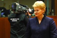 Prezidentę tenkina Lietuvos teisėsaugos darbas ir ji didžiuojasi savo statytiniu generaliniu prokuroru Dariumi Valiu. O jei kas nors kartais ir yra ne taip, tai prezidentė, be abejo, "ne prie ko".