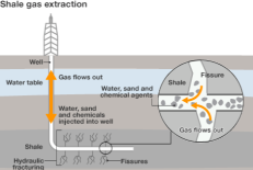 Lietuva nėra tokia turtinga šalis, kad galėtų atsisakyti lobių, kurie, galima sakyti, guli jai po kojomis. Tereikia pasilenkti ir pasiimti.