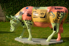 Venstpilio karvių parado karvė