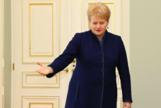 Prezidentė Dalia Grybauskaitė. Nuotr. prezidentas.lt