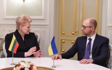 Ukrainos premjeras atidžiai išklausė Lietuvos prezidentės pastabas. Nuotr. prezidentas.lt