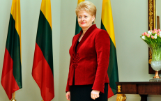 Prezidentė Dalia Grybauskaitė labai dažnai tampa priešiškų Lietuvai jėgų pirmuoju taikiniu. Nuotr. br.lt