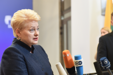 Pasaulio žiniasklaida gaudė kiekvieną D. Grybauskaitės žodį. Nuotr. prezidentas.lt