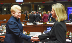 ES šalių ir Turkijos vadovų susitikime visi stengėsi paspausti ranką Lietuvos prezidentei. Nuotr. E.eu