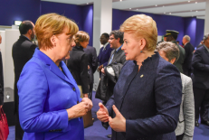 Vokietijos kanclerė A. Merkel kalbėdama su prezidente D. Grybauskaite domėjosi, kaip Lietuvai pavyksta būti lydere kovoje su klimato kaita. Nuotr. prezidentas.lt