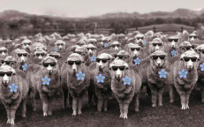 Socialinių tinklų nuotr.