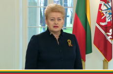 „Sugalvokime ypatingą šventę, kad visiems būtų ir įdomu ir linksma“, - Vasario 16-osios proga kviečia ir laisvės kovų bei istorinės atminties liudytoja prezidentė Dalią Grybauskaitė.