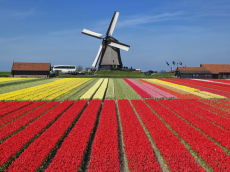 Mūsų žmonės nori sveiko maisto, gyventi ekologiškai, sakė olandė.