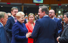 Su sunkumais susidūrusiam Didžiosios Britanijos premjerui Lietuvos prezidentė stengėsi įkvėpti gerą nuotaiką. Nuotr. facebook.com