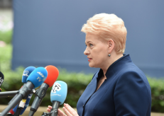 D. Grybauskaitė pasaulio žiniasklaidos dėmsio centre. Nuotr. prezidentas.lt