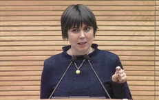 Seimo narė, vaikų teisių apsaugos profesionalė Dovilė Šakalienė.