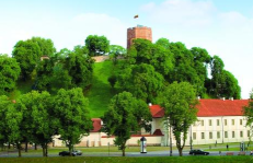 Kadais ant Gedimino kalno augo medžiai, vėliau juos valdžia iškirto, kad žmonėms pilis geriau matytųsi.