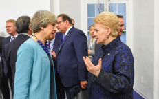 Su prezidente D. Grybauskaite siekė pasitarti kiekvienas Europos politikas. Nuotr. prezidentas.lt