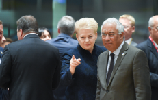 Prezidentė D. Grybauskaitė vėl Europos lyderių dėmesio centre. Nuotr. facebook.com