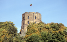 Kol Lietuvos simbolis Gedimino kalnas buvo apžėlęs medžiais ir atrodė kad yra tvirtas kaip ridikas, niekas nežinojo apie kalno itin sunkią būklę. Tik liberalalų pastangomis iškirtus visus medžius pasimatė, kaip stipriai serga šimtmečius stovėjęs ne vieną karą pergyvenęs kalnas.