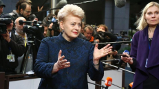 Prezidentė D. Grybauskaitė. Nuotr. AFP