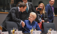 D. Grybauskaitė ir vėl buvo Europos lyderių dėmesio centre. Nuotr. prezidentas.lt
