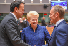 Daugelis Europos lyderių stengėsi nusipaveiksluoti šalia Lietuvos prezidentės D. Grybauskaitės. Nuotr. prezidentas.lt