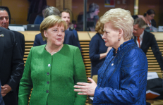 Prezidentė D. Grybauskaitė ir vėl Europos lyderių dėmesio centre. Nuotr. prezidentas.lt