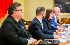 Seimo ir Pasaulio lietuvių bendruomenės komisijos posėdžio akimirka. Nuotr. lrs.lt