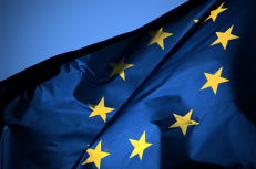 ES vėliava.