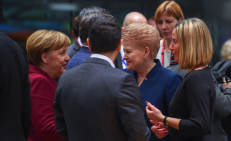 D. Grybauskaitė ir vėl didžiųjų Europos lyderių dėmesio centre. Nuotr. prezidentas.lt