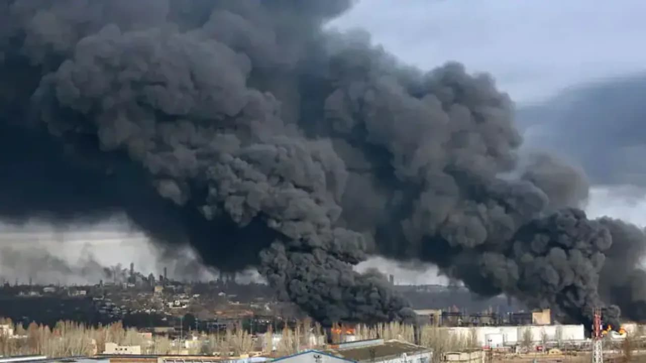 Kur dingo „egzistencinė klimato grėsmė“ ir raginimai valgyti vabzdžius, kai prasidėjo karas?