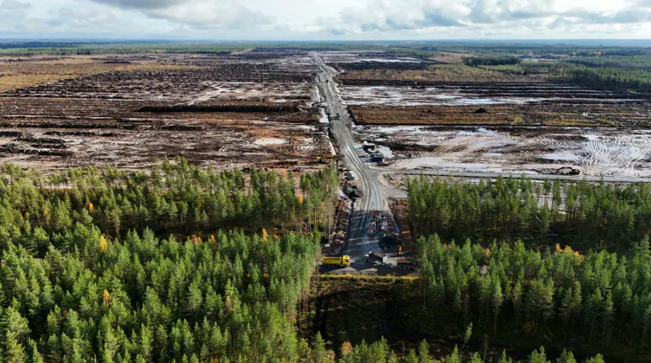 13 mlrd. eurų „Google“ projektą Suomijoje jau lydi tyrimas dėl iškirstų miškų