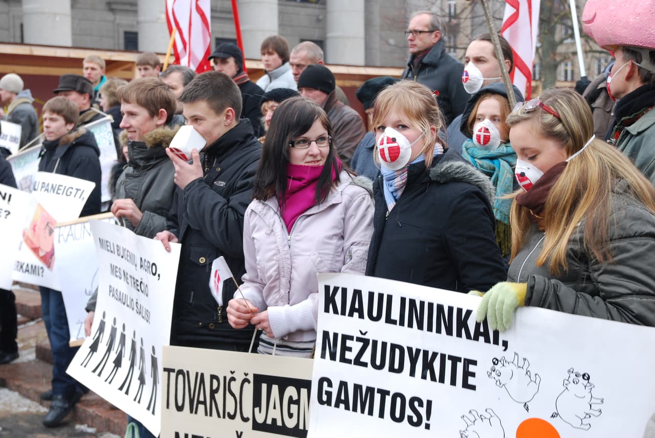 Tik nereikia mūsų gąsdinti: dar kartą apie danų kiaules