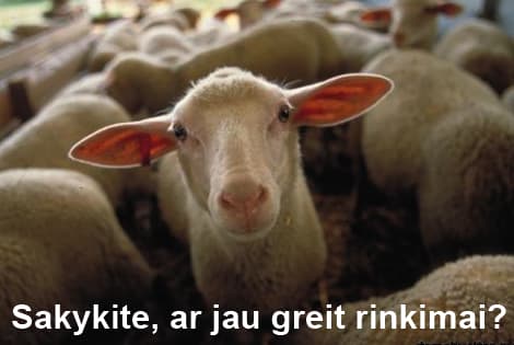 Baimės sindromas, arba kas yra tikroji savivalda?