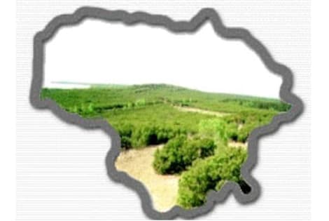 Laiškas eilėraštis