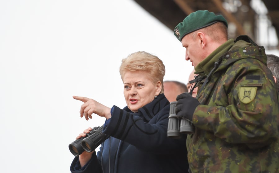 NATO pratybose kariai gaudė kiekvieną prezidentės žodį. Nuotr. prezidentas.lt