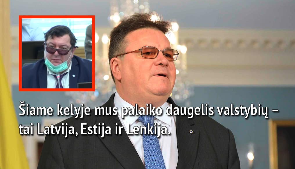 Lietuvos diplomatijos vadovas Linas Linkevičius. Raudoname kvadrate Emanuelis Zingeris demonstruojantis drąsą prieš koronavirusą. Nuotr. lrs.lt