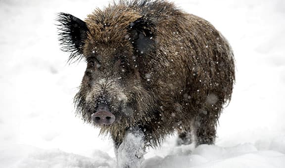 Nuotr. iš „sciencephoto.com“
