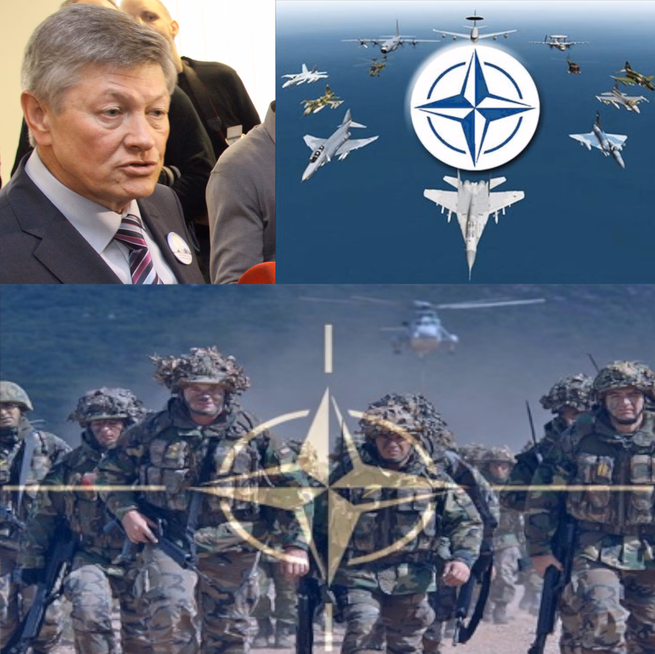Seimo komitetai norėtų NATO dalinių prie rytinių Aljanso sienų