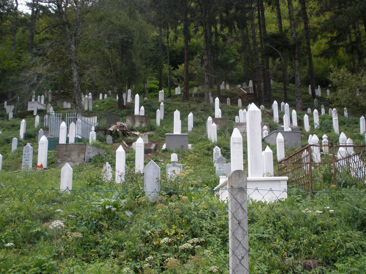 Srebrenicos žudynių aukos ilsisi šiose kapinėse. Asmeninio archyvo nuotr.