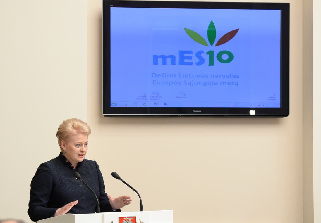 Narystė ES – vienas geriausių Lietuvos istorijoje sprendimų