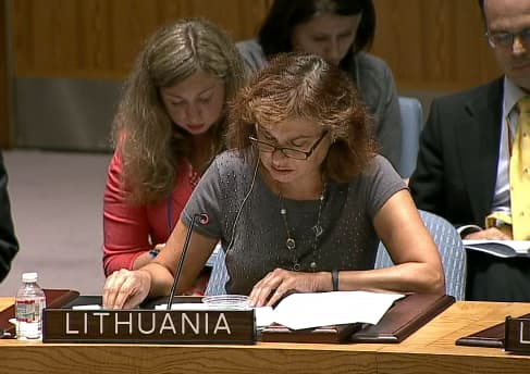 Rugpjūčio 5 d. specialus posėdis Jungtinių Tautų Organizacijoje dėl situacijos Ukrainoje