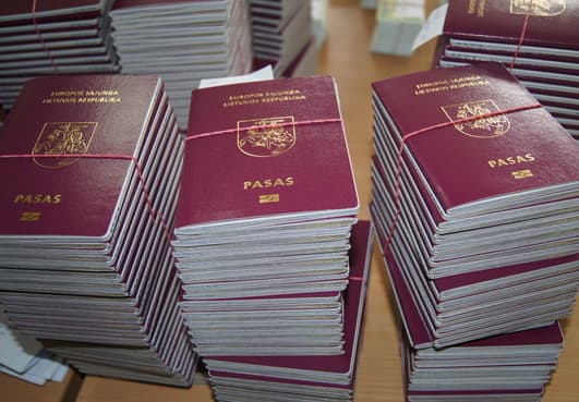 Dviguba pilietybė privalo būti įteisinta kuo skubiau, tai egzistencinis tautos išlikimo klausimas